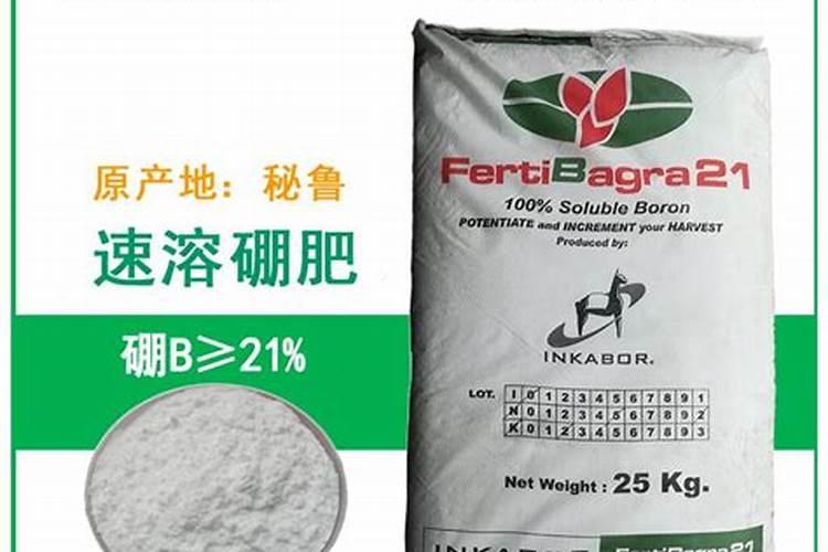 广东省有哪些城市