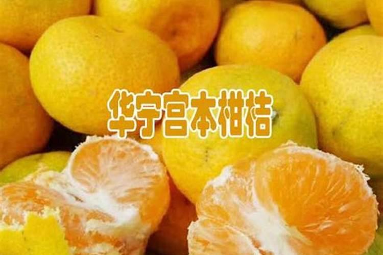 在柑橘开花的时候要用什么肥料才合适