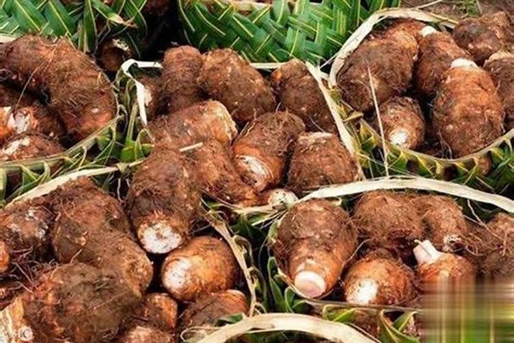芋头追肥用什么肥料好