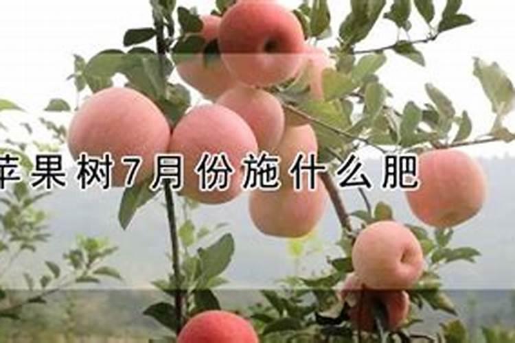 滴灌施用水溶肥时怎样才能起到最好的效果