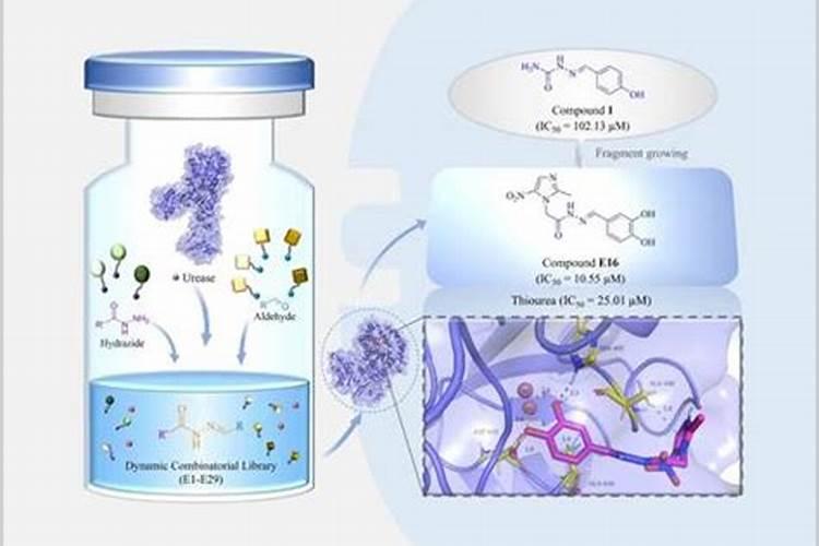 矿源黄腐酸钾和尿素能一起冲施么,用量是多少？