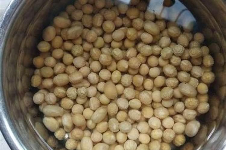 种植四季豆提高产量的施肥技巧有哪些 四季豆应该怎么养殖