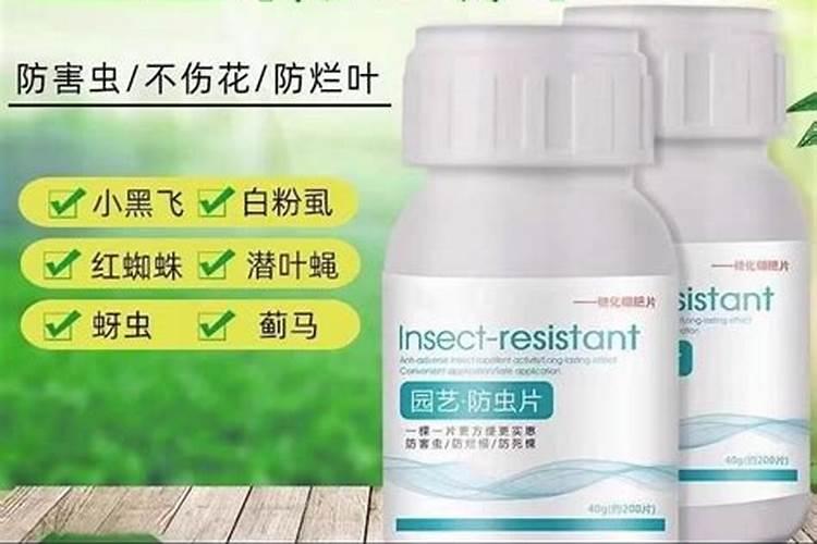 糖化硼肥片真能防虫吗