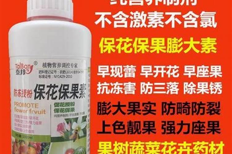 西瓜怎么种植？有哪些种植管理技巧？怎样才能种出高产优质的好西瓜？