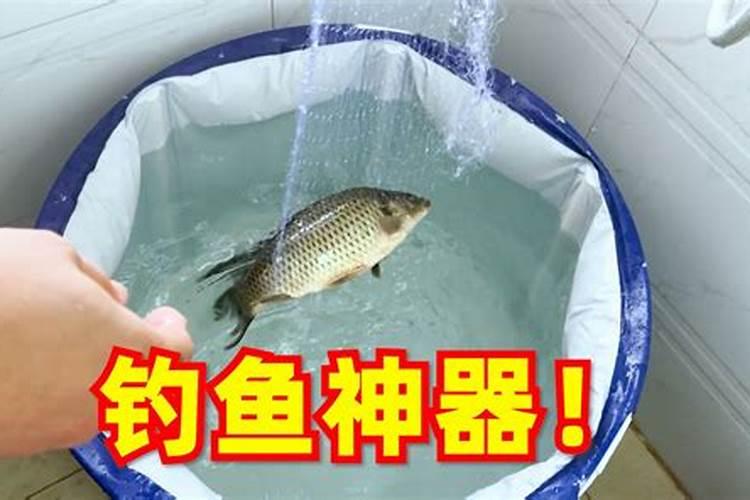 网上卖的桶装鱼蛋白都是真的吗