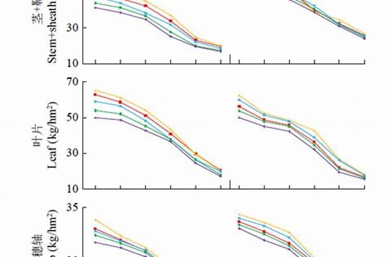施美特液体氮肥玉米如何使用