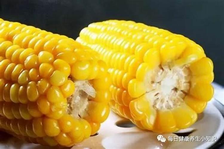 玉米主要成分