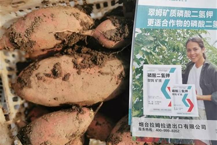 国内氨基酸水溶肥生产厂家有哪些？