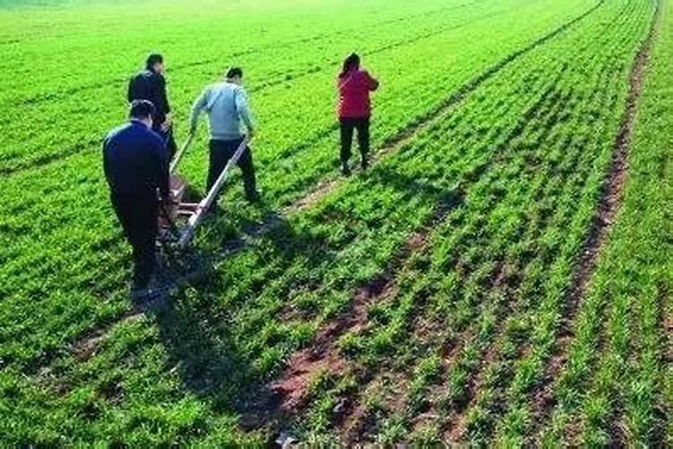 为什么相同质量的饱和溶液溶解度大的中含水量比溶解度小的少？