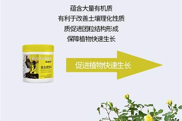 三元复合肥适合哪些花