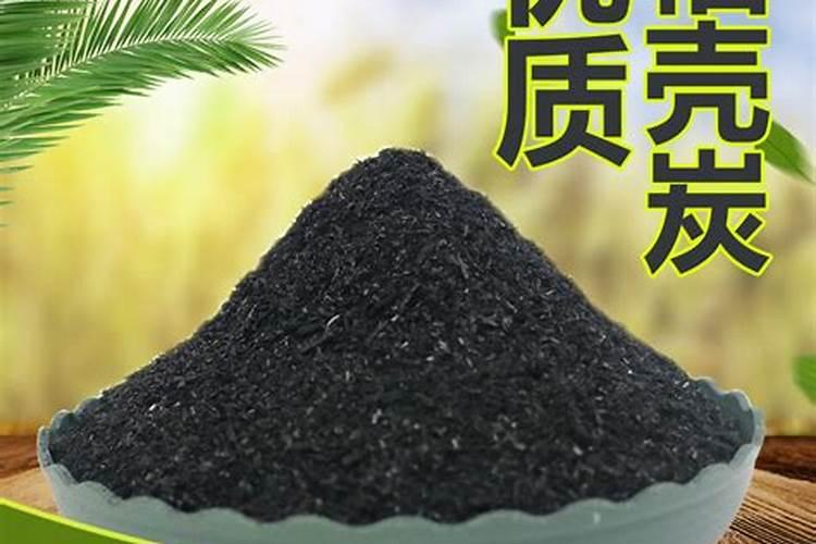 稻壳炭适合养什么花