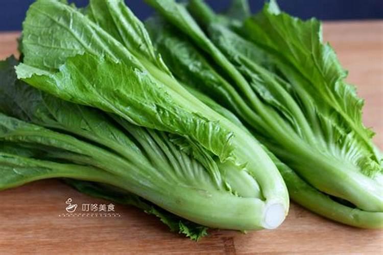 淘米水泡果皮菜叶根可以做肥料吗