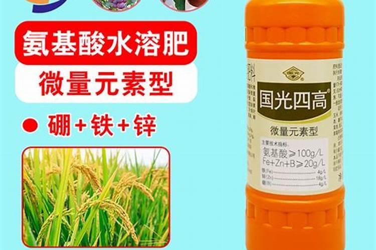 水稻硼肥的作用及使用方法