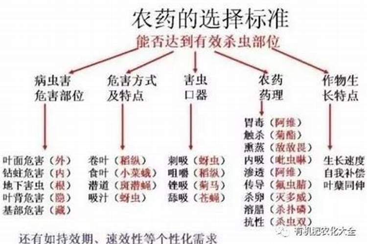西红柿开裂如何防治？有什么好办法？急急急
