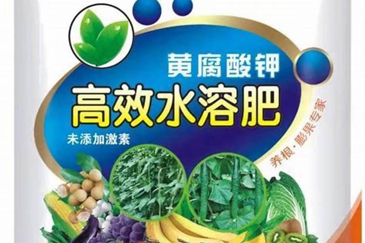 水溶肥多久能吸收