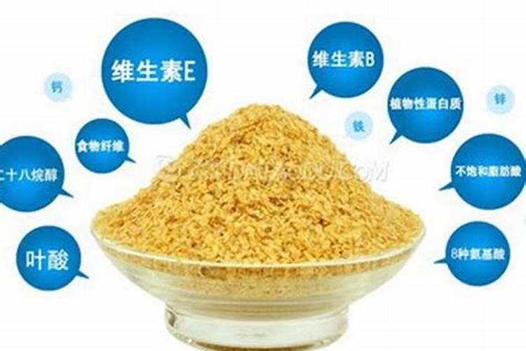面粉提供什么营养物质化学