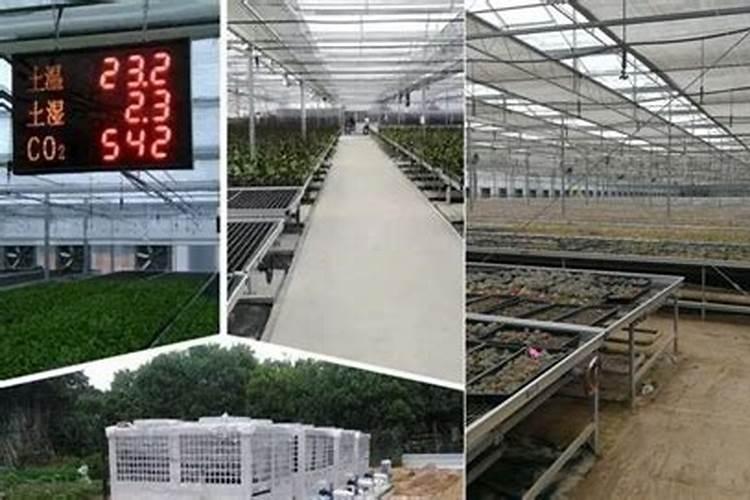 鱼蛋白哪个牌子好？