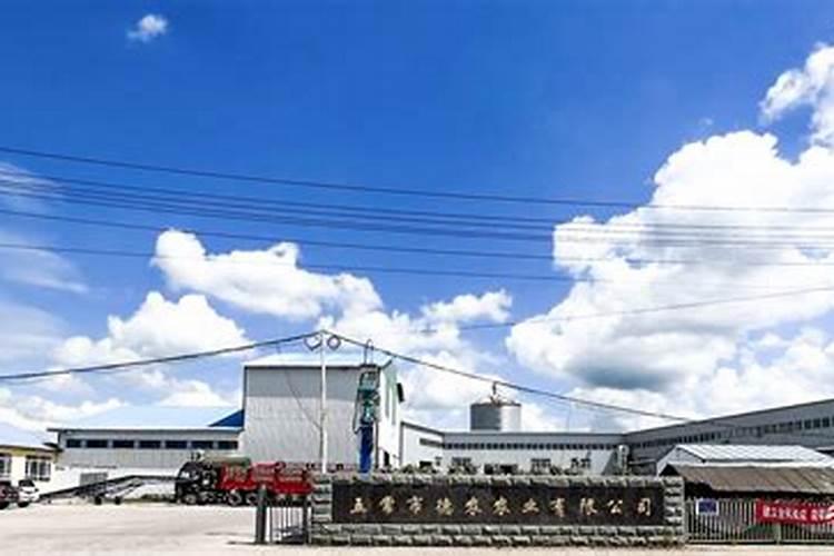 五常大米哪个品牌正宗