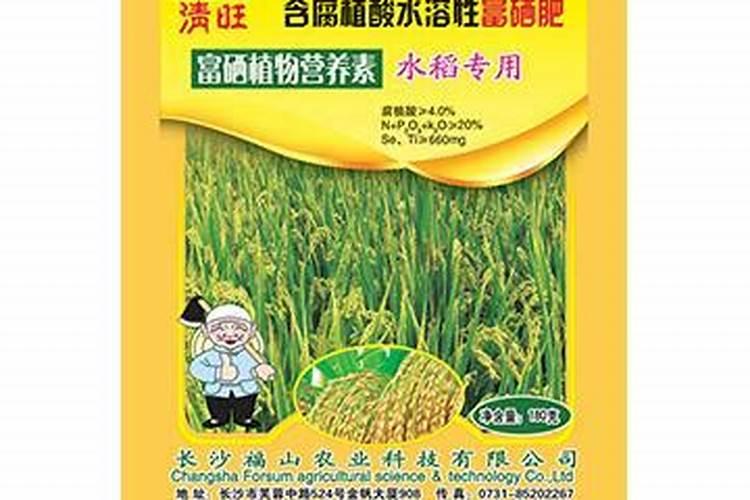 农村这种野菜,俗称“螺丝菜”,做泡菜清脆爽口,现在10多元一斤