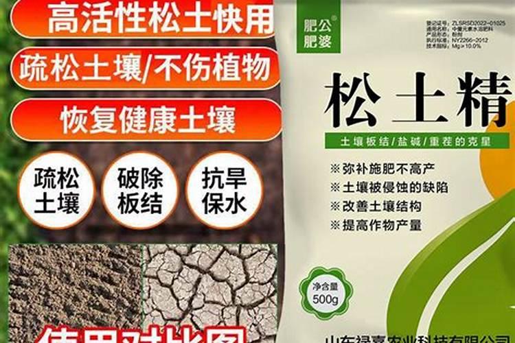 葱根种植方法
