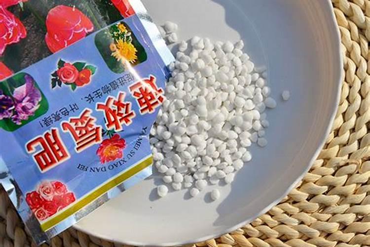 氮肥可以浇什么花