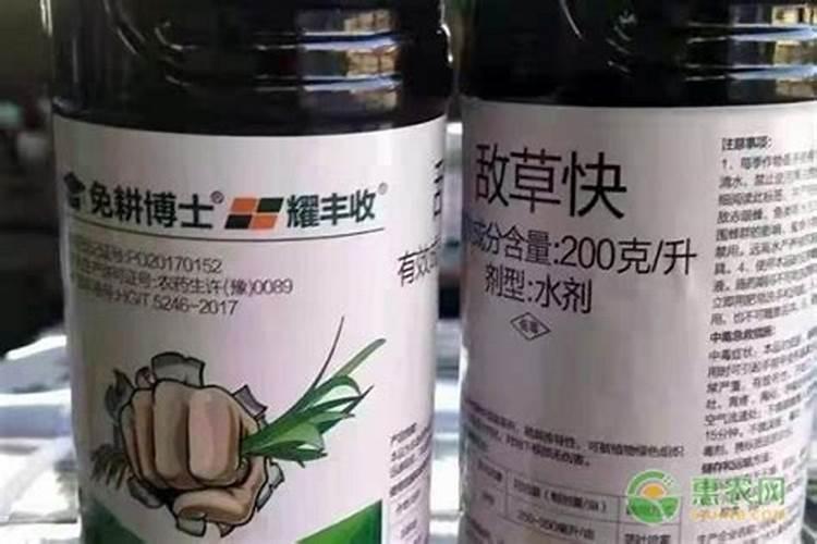 牧草用什么肥料
