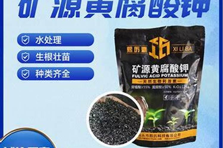 柑橘什么时候用黄腐酸钾好
