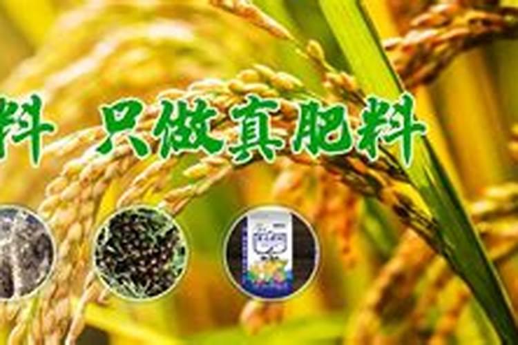合肥艾夫尔新型肥料有限公司怎么样？
