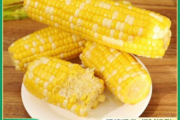 钾肥对玉米能起到什么作用