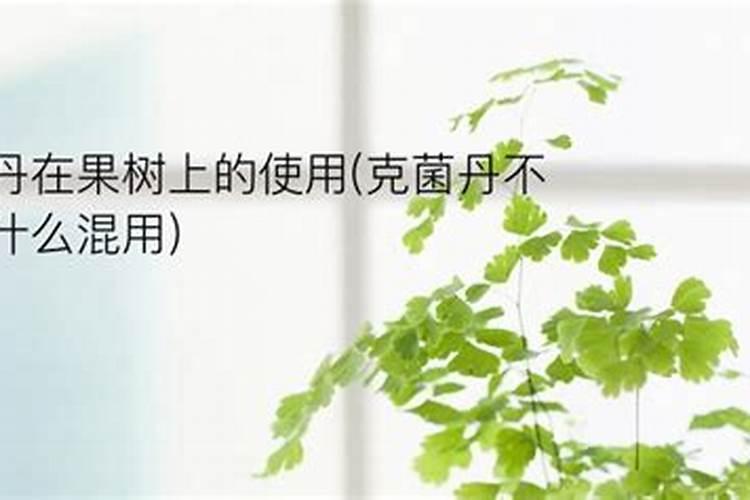 克菌丹能不能和生根肥一起冲施