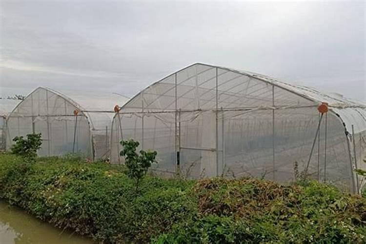 冻害的防患措施有哪些