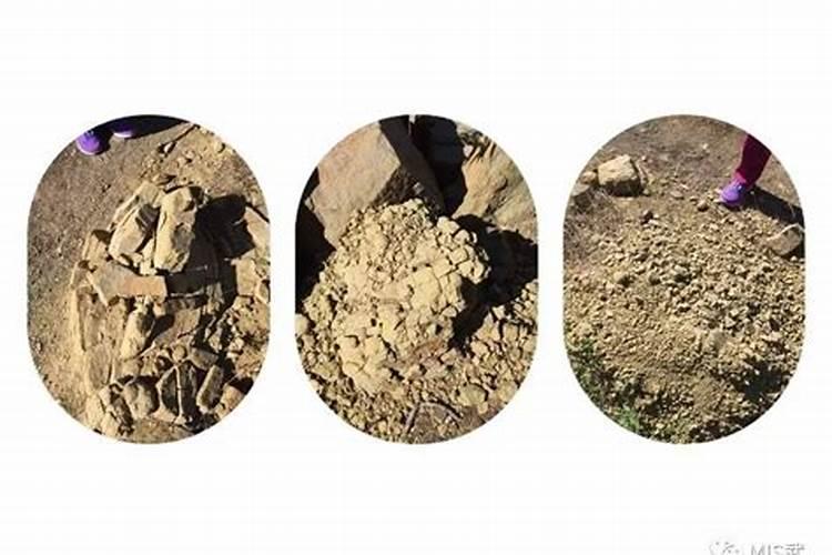 腐植酸水溶肥料的作用有哪些