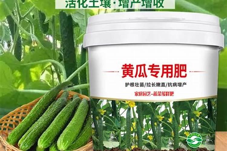 柑橘怎样剪枝及施肥