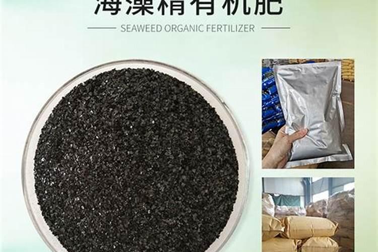海洋神速效型有机肥是什么