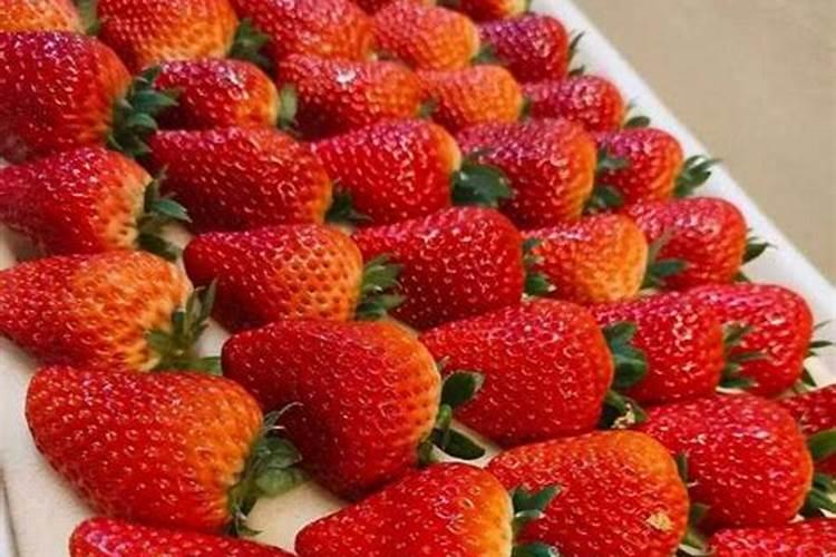 草莓磷肥什么时候用？磷肥施用过量该怎么补救？