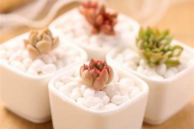 控释肥的颗粒控释肥