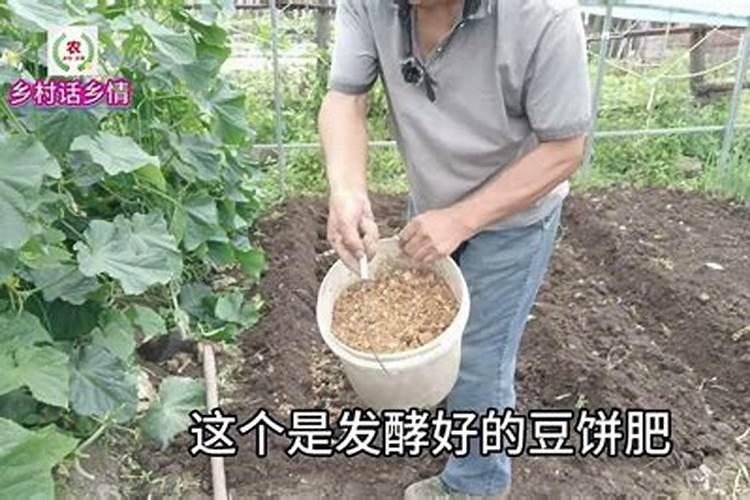 播种花生怎么撒肥不烧苗