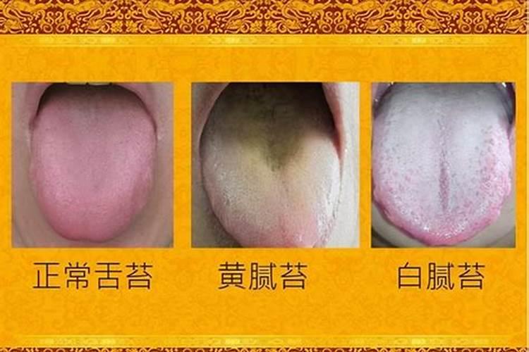 小葱施肥用什么肥料 小葱施肥用哪些肥料