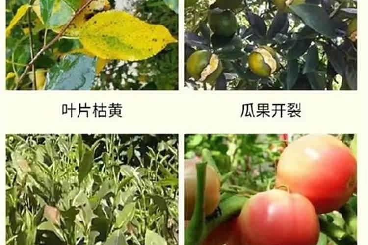 二铵不带@能用吗