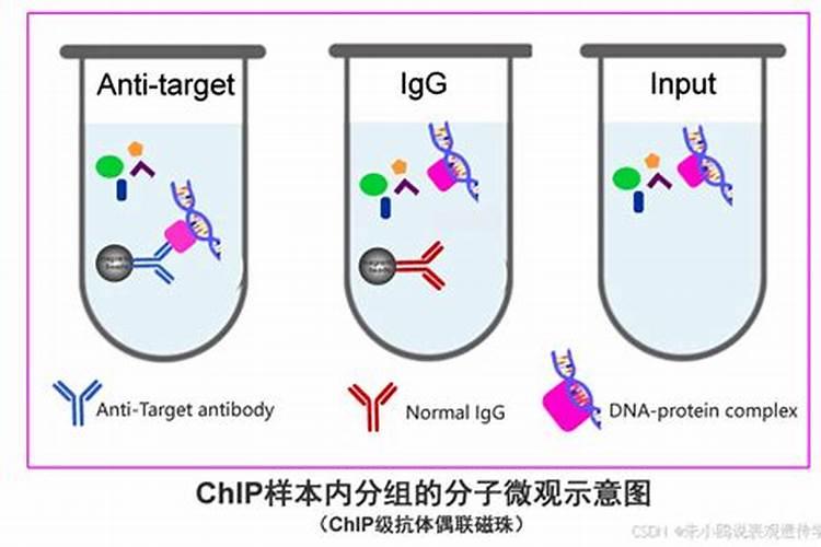 蟹爪兰带小花苞可以施肥吗