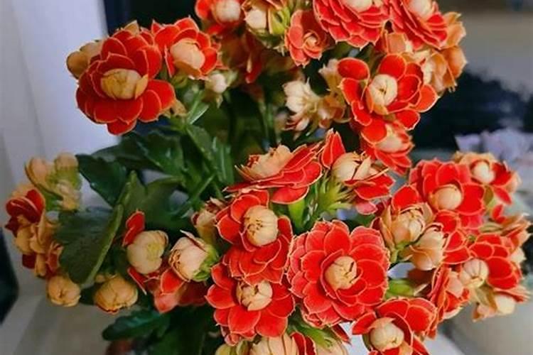 烧烤用的碳能养花吗？