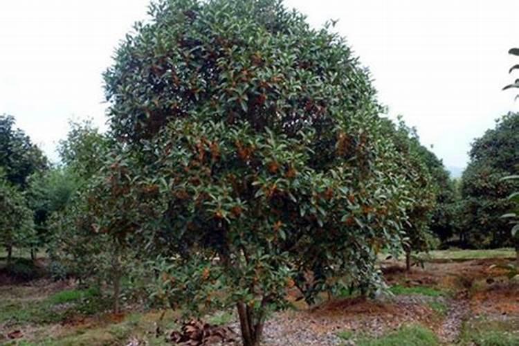 断桥铝门窗五金配件十大品牌有哪些？