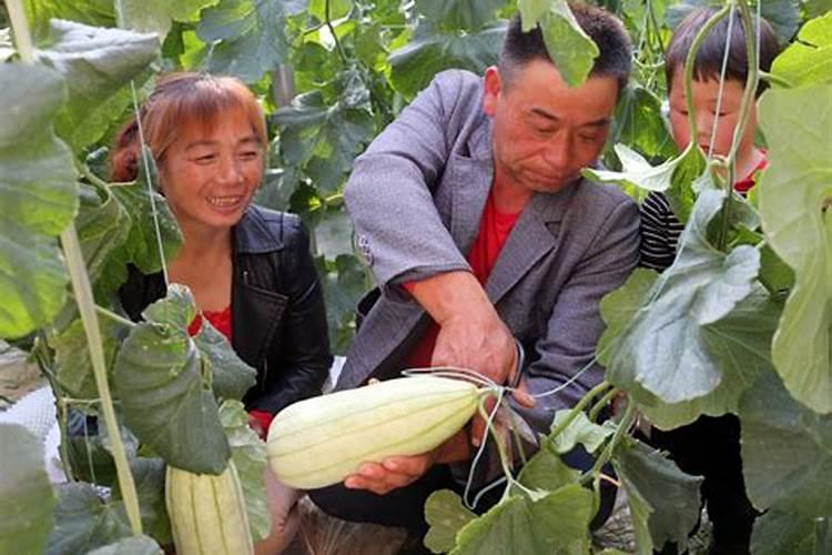 磷肥危害