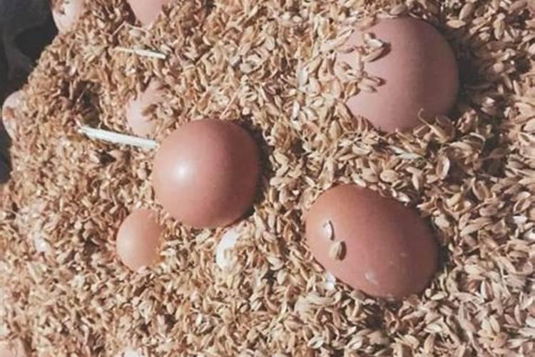 泡过开水的稻壳发酵流程及费用是怎样的