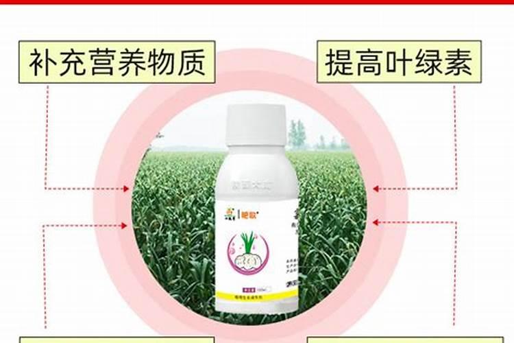 含氨基酸水溶肥料与苄氨基嘌呤氯化胆碱能合用么？