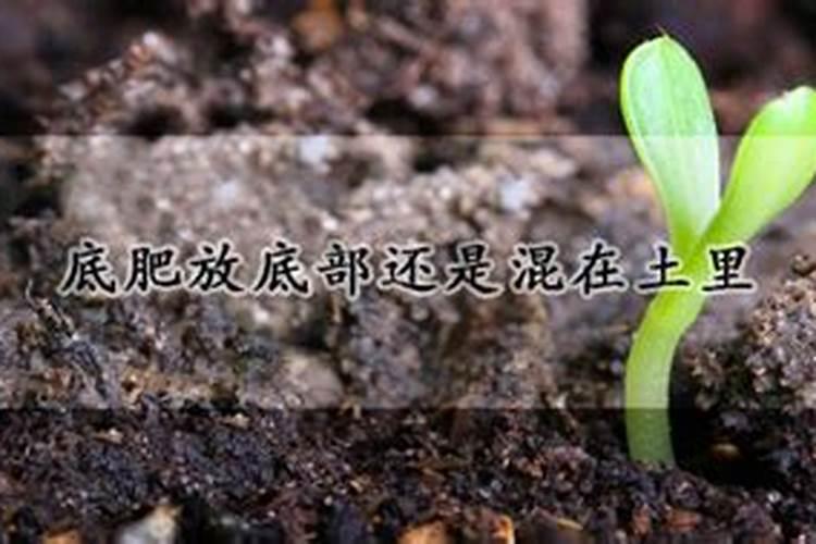 活化磷肥的使用方法