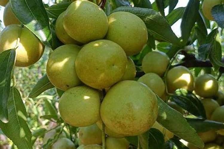 李万千的人物履历