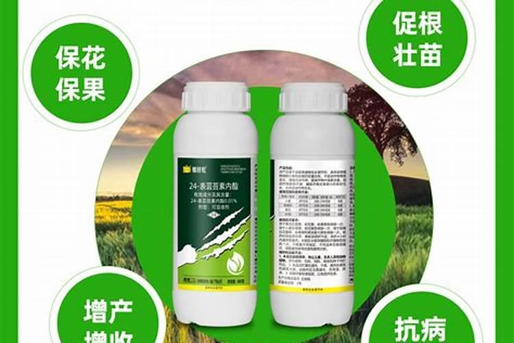 高钾复合肥在莴笋种植中如何使用