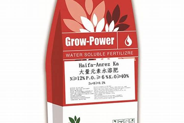 成年枇杷树怎样修剪