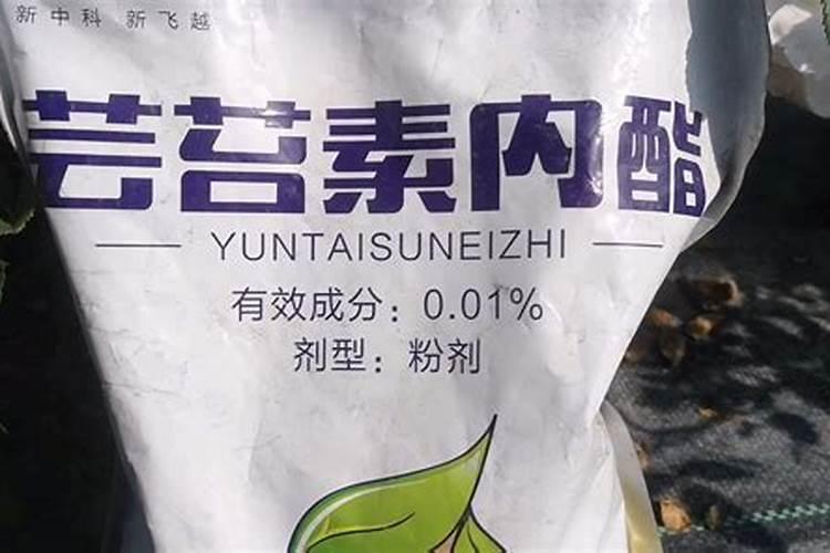 芸苔素内酯能用在苹果树上吗？效果怎么样？